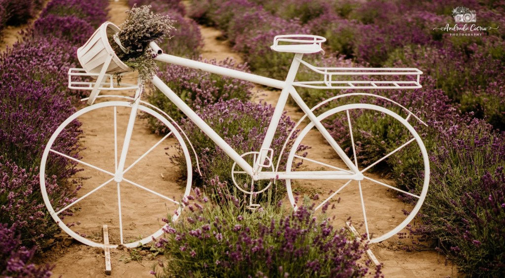 Life on wheeeeeels!!!