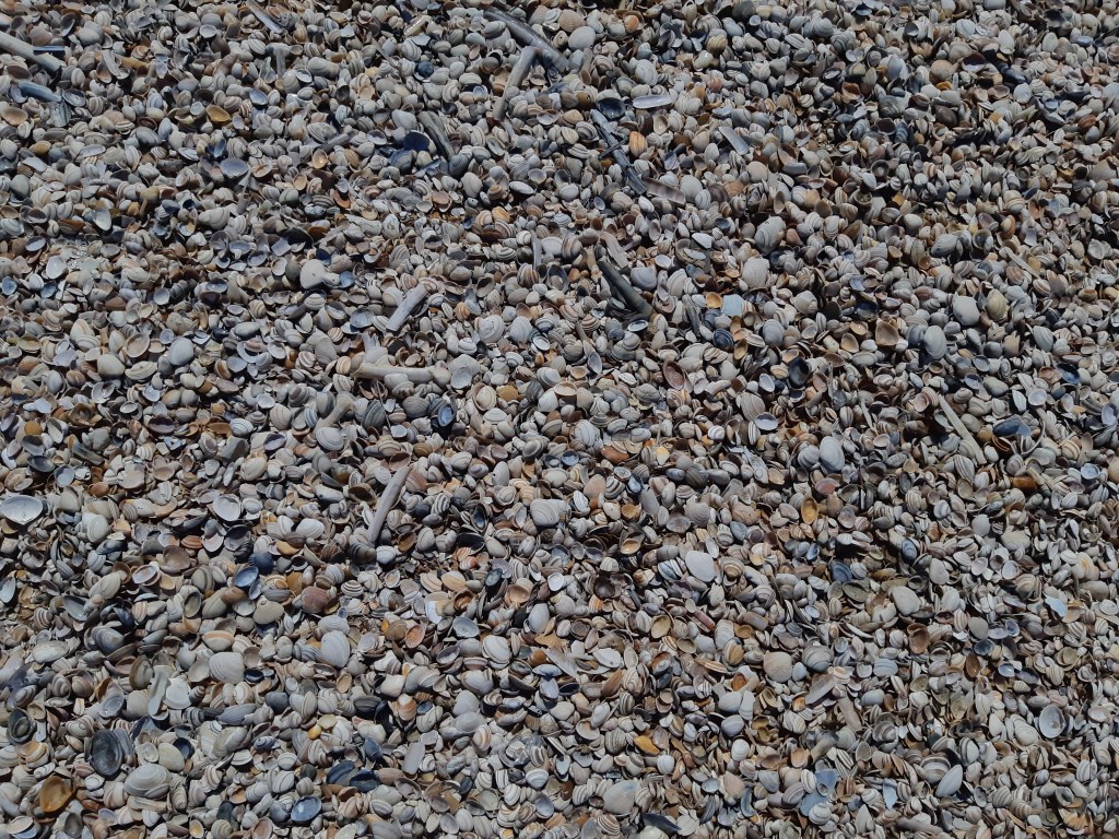 Human Design and I – Because We Are All Identically&nbsp;Unique