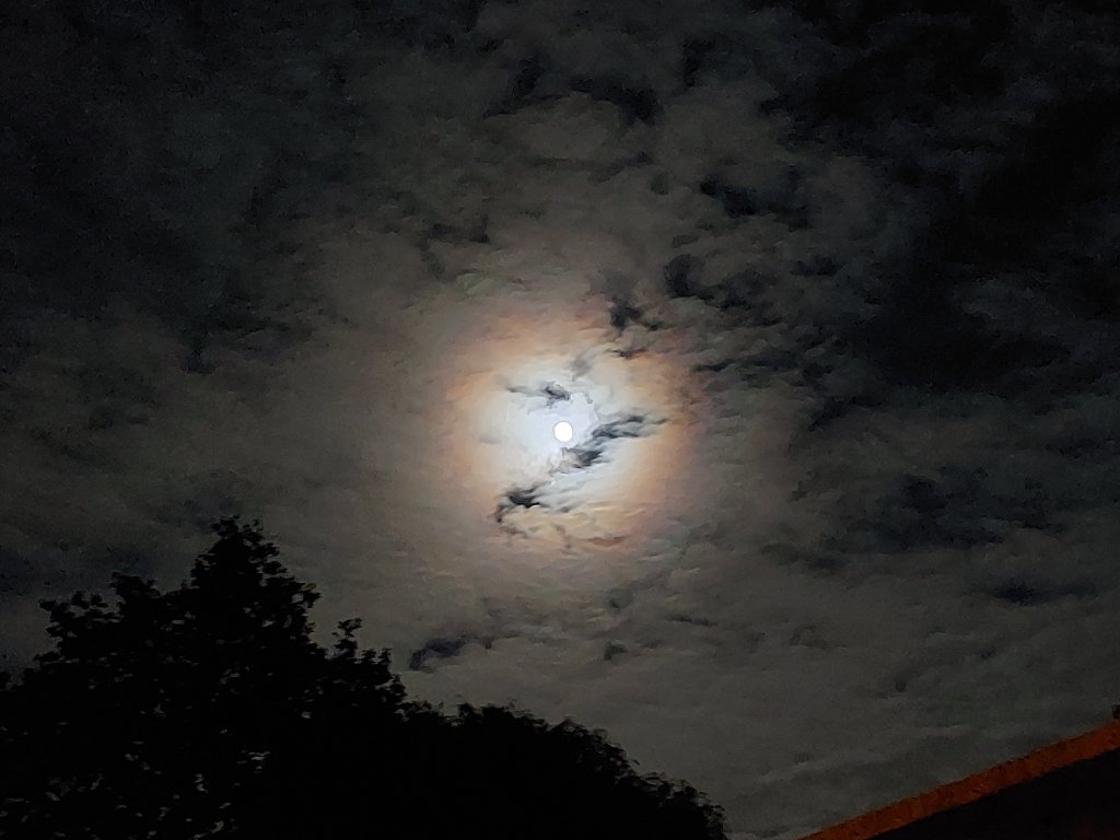 Deep Dive Into&nbsp;Surrendering